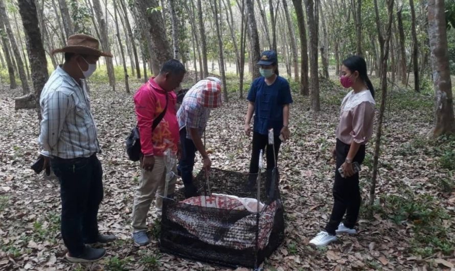 วันที่ 24 มีนาคม 2563เกษตรเมืองนรา ประสานความร่วมมือหน่วยงานกระทรวงเกษตรฯ ประเมินสถานการณ์ หาทางออกโรคใบร่วงยางพารา