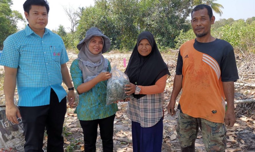 วันที่​ 10​ มีนาคม​ 2563เกษตรเมืองนราจับมือกลุ่มอารักขาพืช​ ทดลองเชื้อราไตรโคเดอร์ม่า​ ต้านโรคเชื้อราในแตงโม