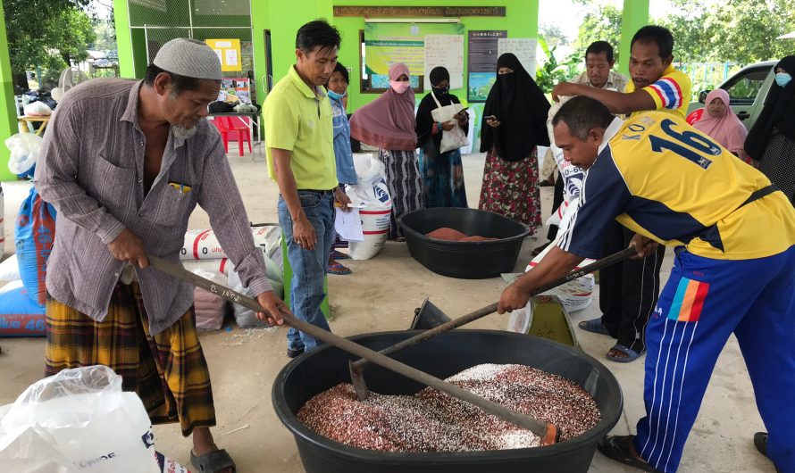 วันที่ 11 สิงหาคม 2563 เกษตรเมืองนรา เดินหน้าพัฒนาการผลิตมะพร้าวในพื้นที่